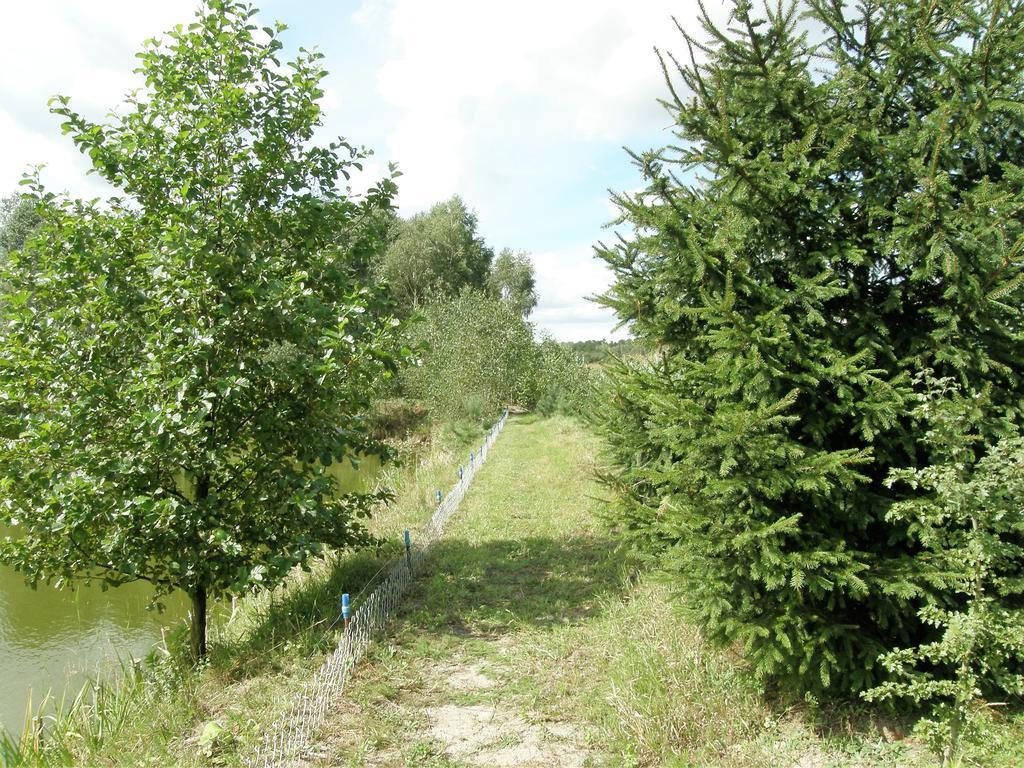 Agroturystyka "Bociek" Bełk 外观 照片